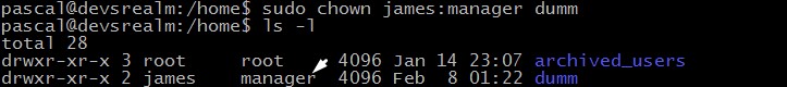Change group ownership of a directory