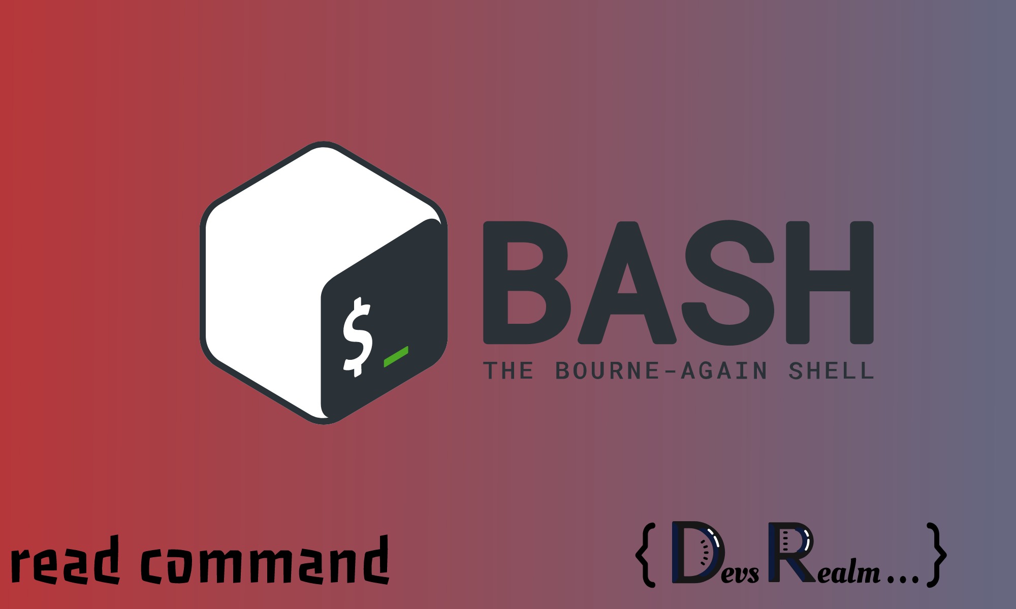 Using read in a Bash Script