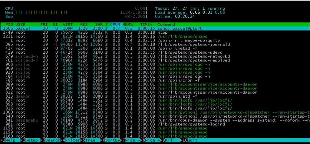 htop view