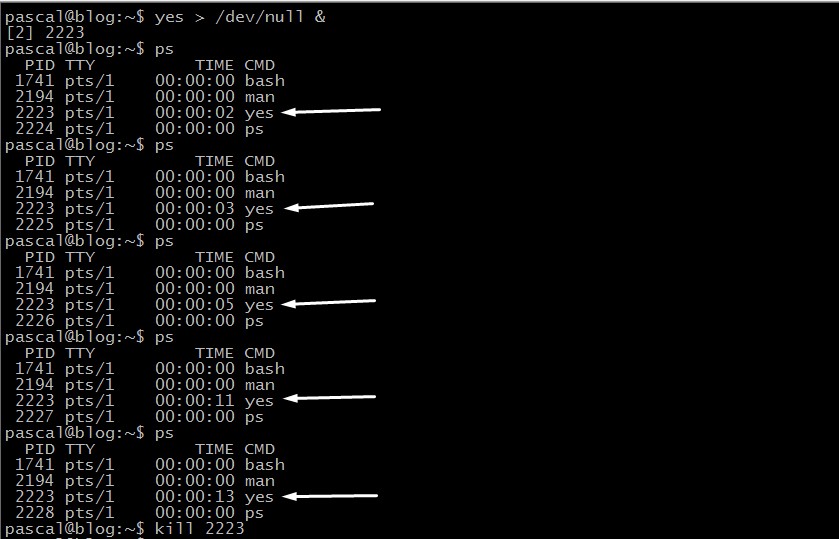  Yes command to simulate the CPU process been used